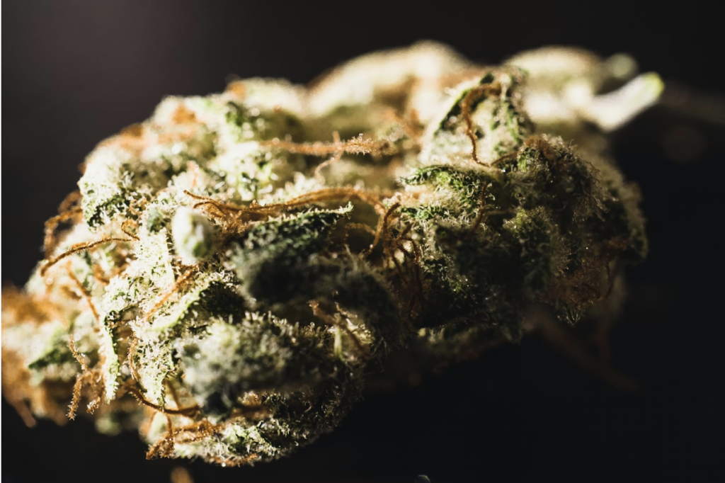 Live Resin vs Rosin: Complete Guide